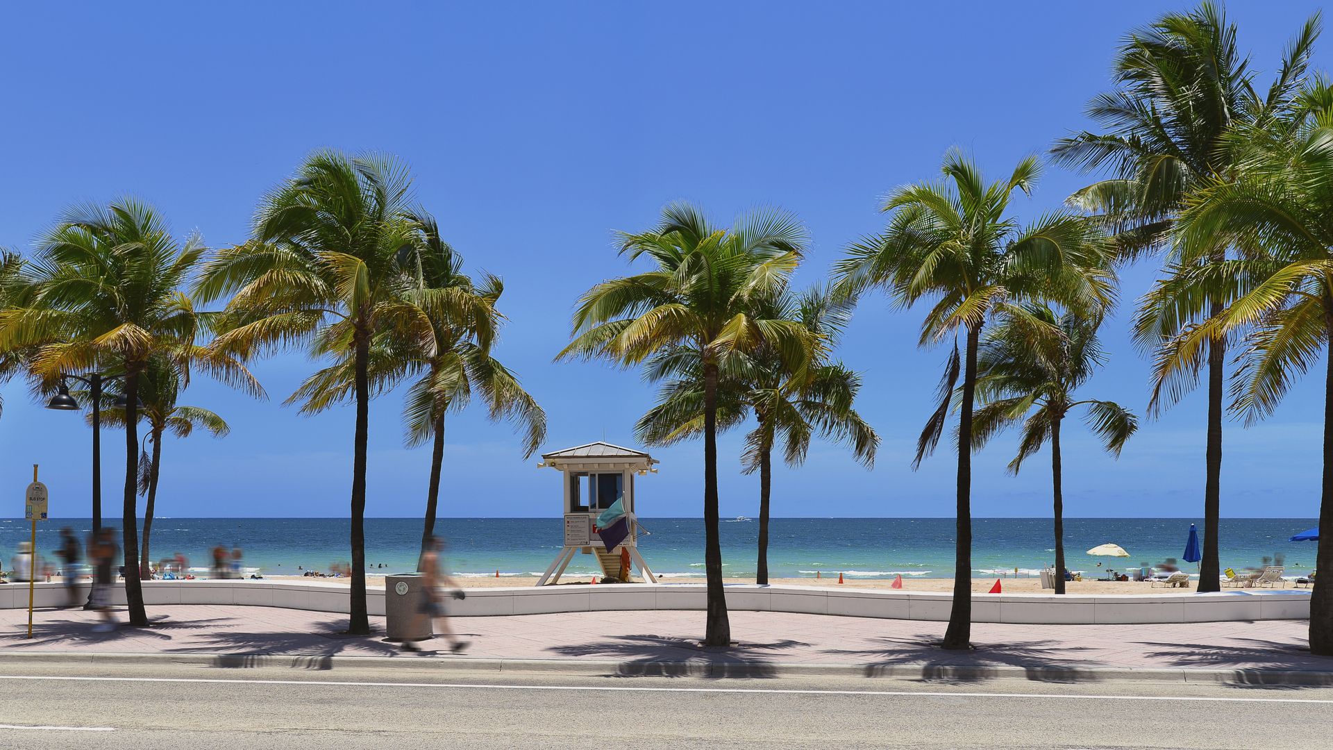 Palm trees along the Fort Lauderdale beach promenade
